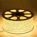 LXINDIA Fancy Lights Gesto 5 Meter Rope Led Strip Lights