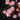 LX INDIA lights Gesto Serial String Lights - 14 LED Pink Rose, 10 Feet Fairy Lights for Home Decor,Mandir,Pooja Room,Valentine,Deepawali