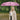 LX INDIA Umbrella Giordano UV Protection Unisex Umbrella for Men and Women Regular Size Pink