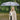 LX INDIA Umbrella Giordano UV Protection Unisex Umbrella Regular Size Blue