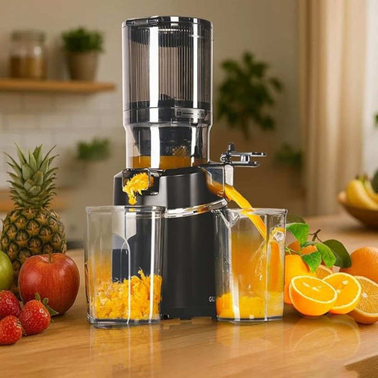 LX INDIA Juice Blender Glen Hopper 250W Slow Juicer Machine Electric (SA-4016HSJ) Black