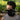 LX INDIA Face Mask HEELIUM Bamboo Bandana for Men and Women Pack of 2 Black