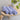 LX INDIA Towels Iris HEELIUM Bamboo Face Towel, Ultra Absorbent & Odour-Free, 3X Softer Than Cotton Towels, 30 x 30 cm - 600 GSM, Pack of 3