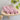 LX INDIA Towels peach HEELIUM Bamboo Face Towel, Ultra Absorbent & Odour-Free, 3X Softer Than Cotton Towels, 30 x 30 cm - 600 GSM, Pack of 3