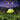 LX INDIA Fancy Lights Homehop Solar Light Outdoor Garden Waterproof Firefly Swaying 56LED,Crystal Ball Wireless Lamp