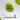 LX INDIA Tennis Ball Hundred Cotton Delta 6 Core Cricket Tennis Balls  Pack of 6