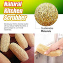 LXINDIA Scrubber Indigenous Living Natural Kitchen Scrubber