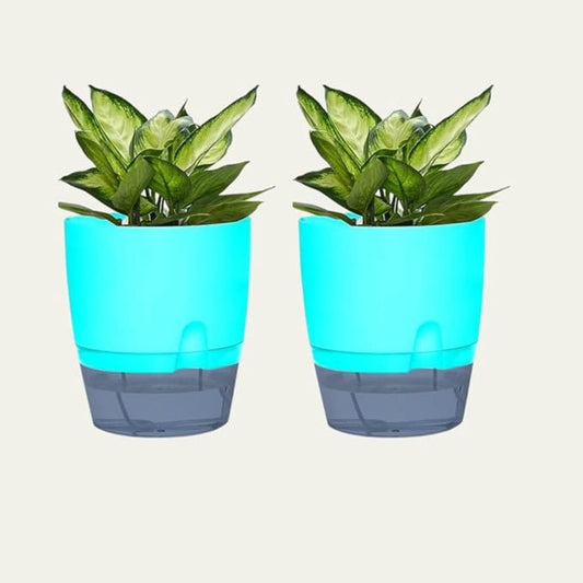 LX INDIA Self-watering plant pots InHydro Combo Of 2 Handy Self-Watering Pot (18*15 cm, Cyan)