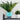 LX INDIA Self-watering plant pots InHydro Combo Of 2 Handy Self-Watering Pot (18*15 cm, Cyan)