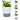 LX INDIA Self-watering plant pots InHydro Combo of 2 Handy Self-Watering Pots (18*15 cm, White)