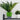 LX INDIA Self-watering plant pots InHydro - Combo of 2 Self-Watering Pots (18*15 cm, Green)