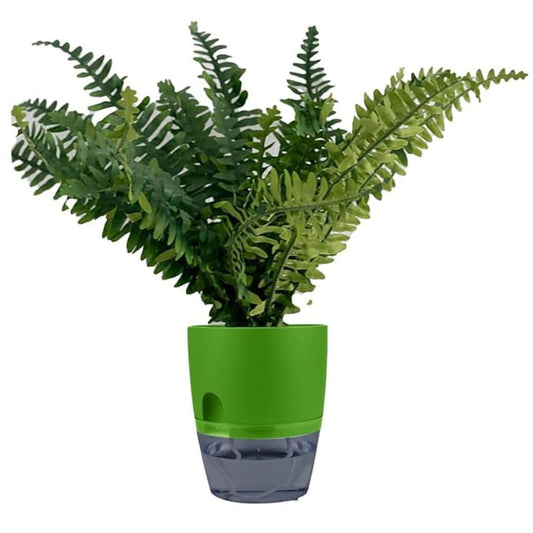 LX INDIA Self-watering plant pots InHydro - Combo of 2 Self-Watering Pots (18*15 cm, Green)