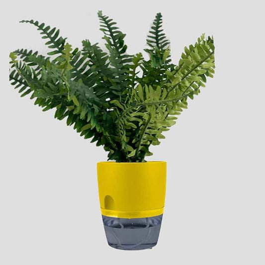 LX INDIA Self-watering plant pots InHydro Handy Yellow hydroponics Self-Watering Pots (yellow)
