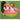 LX INDIA Swimming Pool Intex Inflatable Kids Bath Tub (Multicolor) 2 Feet