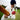 LX INDIA Cricket ball jaspo PVC T-20 Soft Cricket Balls 110 Gm (Multicolour) - Pack of Three , Standard Size