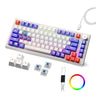 LXINDIA Keyboards Kreo Hive RGB Anti ghosting Gaming Keyboard Tenkeyless(White Purple Blue Switch)