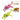 LX INDIA Fruit Cutter Kuber Industries Plastic 2 Pieces 2 in 1 Vegetable &amp; Fruit Multi Cutter &amp; Peeler Sharp Stainless Steel 5 Blade&nbsp;