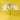 LX INDIA Umbrella Kuber Industries Transparent Umbrella For Kids (Yellow)
