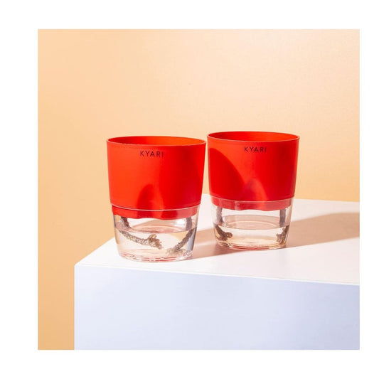 LX INDIA Self-watering plant pots Minimal Red KYARI Combo of 2 Self-Watering Pots for indoor plants