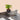 LX INDIA Self-watering plant pots KYARI Philodendron Broken Heart Live Indoor Plant with Grey Self Watering Pot Small