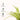 LX INDIA Self-watering plant pots Kyari Spider Plant live indoor plant with Self Watering Pot - Small (4") Cream