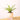 LX INDIA Self-watering plant pots Kyari Spider Plant live indoor plant with Self Watering Pot - Small (4") Cream