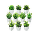 LXINDIA Plants Litleo Artificial Plants Fake Potted Plants (10 Mini)