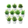 LXINDIA Plants Litleo Artificial Plants Fake Potted Plants (10 Mini)