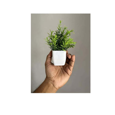 LXINDIA Plants Litleo Artificial Plants Fake Potted Plants (10 Mini)