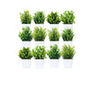 LXINDIA Plants Litleo Artificial Plants Mini Fake Potted Plants  (Pack of 12)