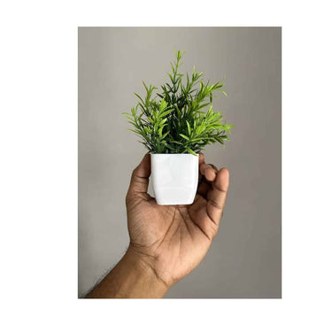 LXINDIA Plants Litleo Artificial Plants Mini Fake Potted Plants (Set of 4)