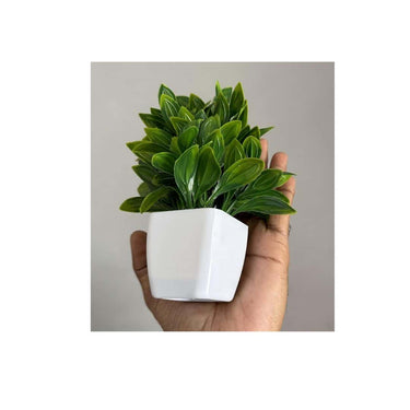 LXINDIA Plants Litleo Plastic Artificial Plants Fake Potted Plants (8 Small)