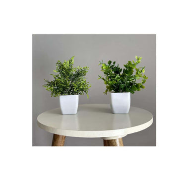 LXINDIA Plants Litleo Plastic Artificial Plants Fake Potted Plants (8 Small)