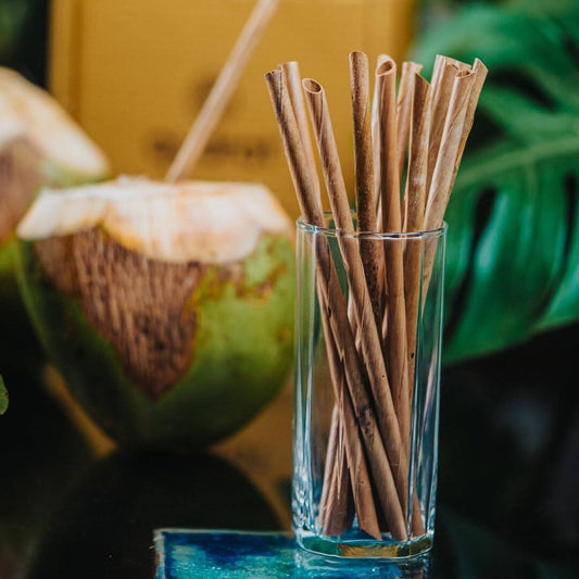 LX INDIA Reusable Straws Natural Straw/Coconut Leaf Biodegradable, Eco-Friendly & Sustainable Drinking Straws (Pack of 100)