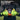 LX INDIA Football Glove Nivia Ditmar Spider Green Goalkeeper Gloves