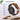 LXINDIA Smart Watch Noise Halo Plus Smart Watch(Vintage Brown)