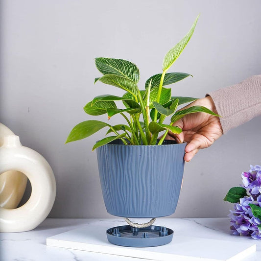 LX INDIA Self-watering plant pots Nurturing Green® Self Watering Flower Pots for Home Decor (Set of 6, Assorted)