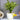 LX INDIA Self-watering plant pots Nurturing Green® Self Watering Flower Pots for Living Room & Home Decor (Combo of 3, Ivory)
