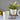 LX INDIA Self-watering plant pots Nurturing Green® Self Watering Flower Pots for Living Room & Home Decor (Combo of 3, Ivory)