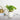 LX INDIA Self-watering plant pots Nurturing Green® Self Watering Flower Pots for Living Room & Home Decor (Combo of 3, Ivory)