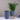LX INDIA Self-watering plant pots Nurturing Green® Self Watering Pots for Home Decor (Set of 6, Grey)