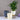 LX INDIA Self-watering plant pots Nurturing Green® Self Watering Self Watering Pots (Set of 3Grey & 3Ivory, Assorted)