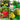 LX INDIA Grow Bags ORGANIC BAZAR 18x18 Big Size Grow Bags Premium HDPE 260 GSM, Green Plant Bags, Pack of 5