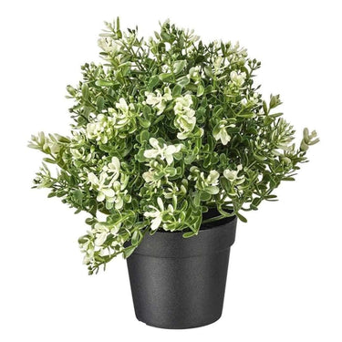 LXINDIA Plants PAPERI Artificial Plant Indoor Decorative Plastic Green Leaves with Pot