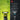 LX INDIA Trimmer Philips OneBlade Face & Body 2X Turbo | Dual-Sided Blade Electric Beard Trimmer & Shaver | QP2824/10