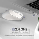 LXINDIA Mice Portronics Toad 35 Wireless Mouse  (White)