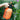 LX INDIA Spray Pump Pressure Spray Pump 2L, Spray Pump Bottle for Garden, Plants & Lawn, Pressure Water Sprayer, Garden Pump Pressure Sprayer