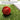 LX INDIA Tennis Ball Prokick Cricket Tennis Ball - Lightweight & Heavy Weight (Pack of 6 - Red Heavy)