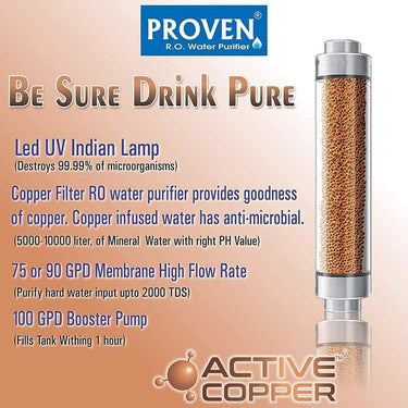 LXINDIA water purifier Proven Pixer RO Water Purifier 12L Storage Tank