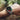 LX INDIA Smart Watch pTron Reflect Pro Plus Smartwatch (Silver)